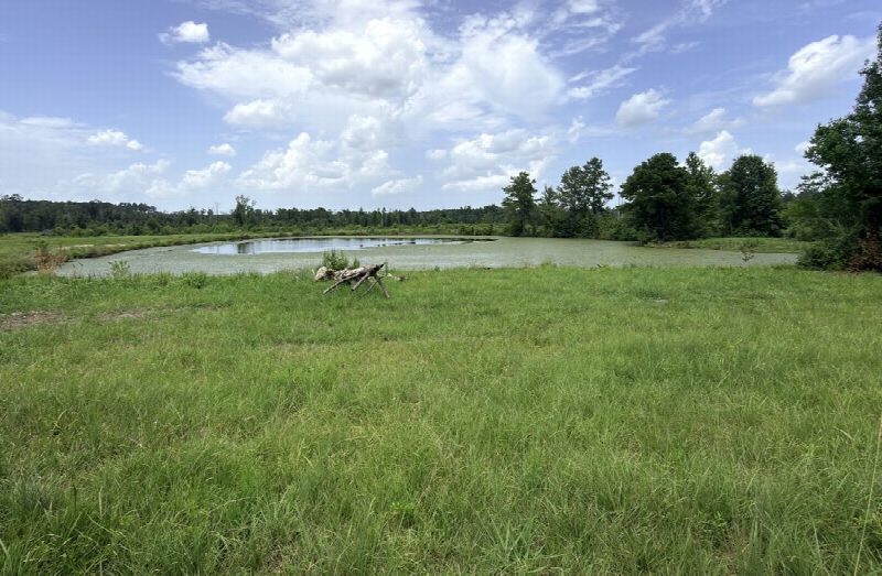 2.61 acres of land for sale on Hambone Rd, Collins, Mississippi (Tract 1)