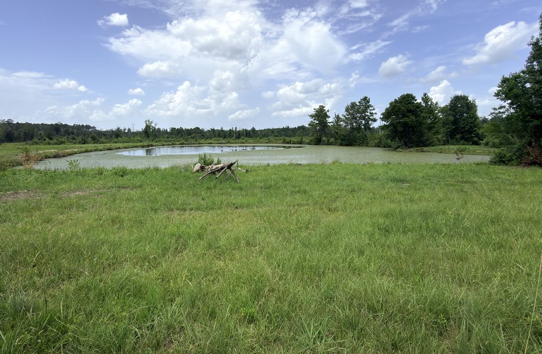 3.06 acres of land on Hambone Rd, Collins, Mississippi - photo 1