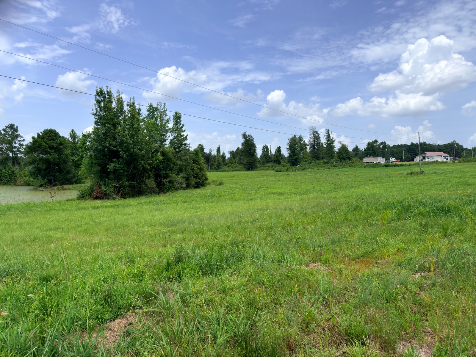 3.06 acres of land on Hambone Rd, Collins, Mississippi - photo 4