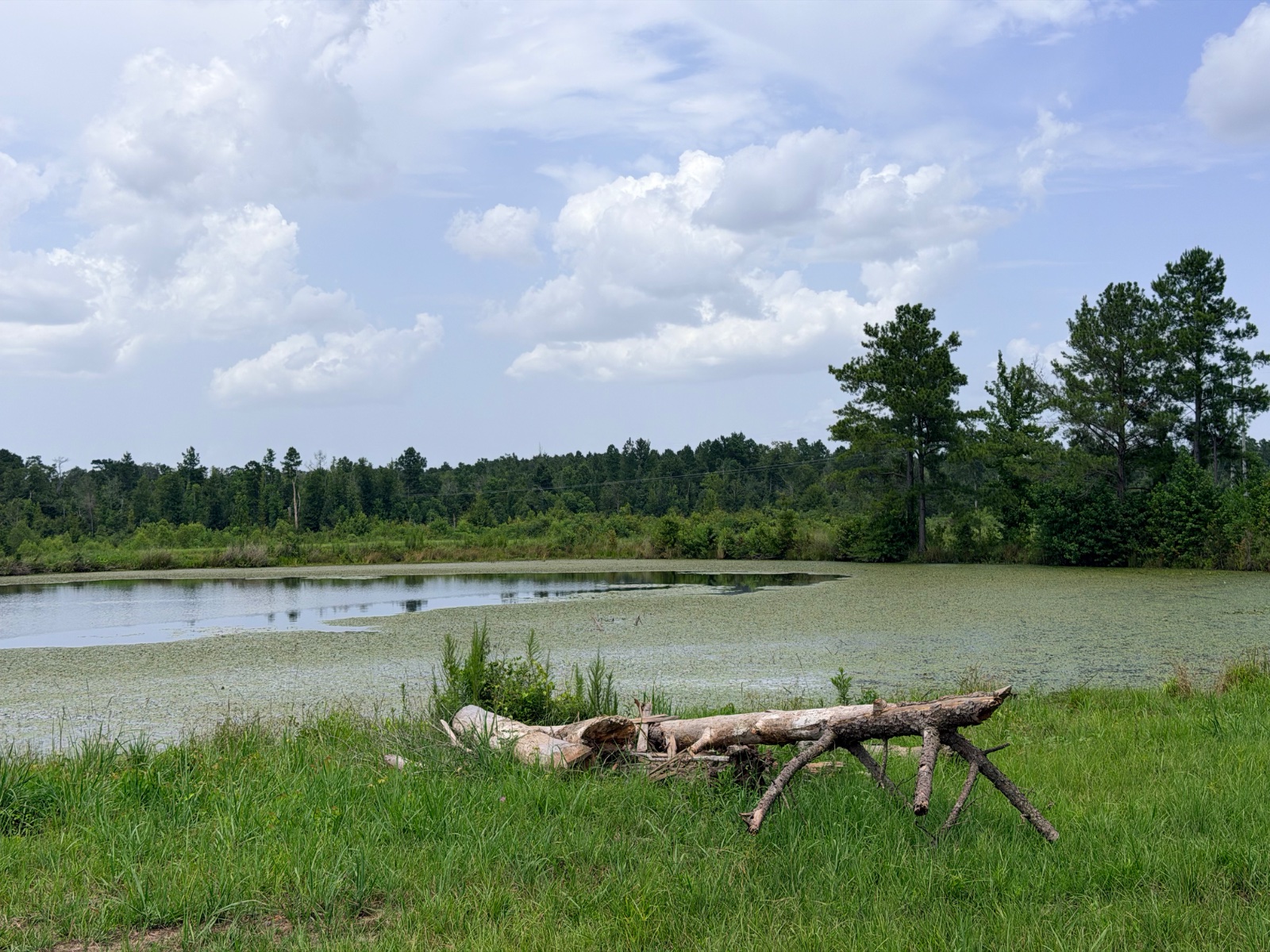 3.06 acres of land on Hambone Rd, Collins, Mississippi - photo 2