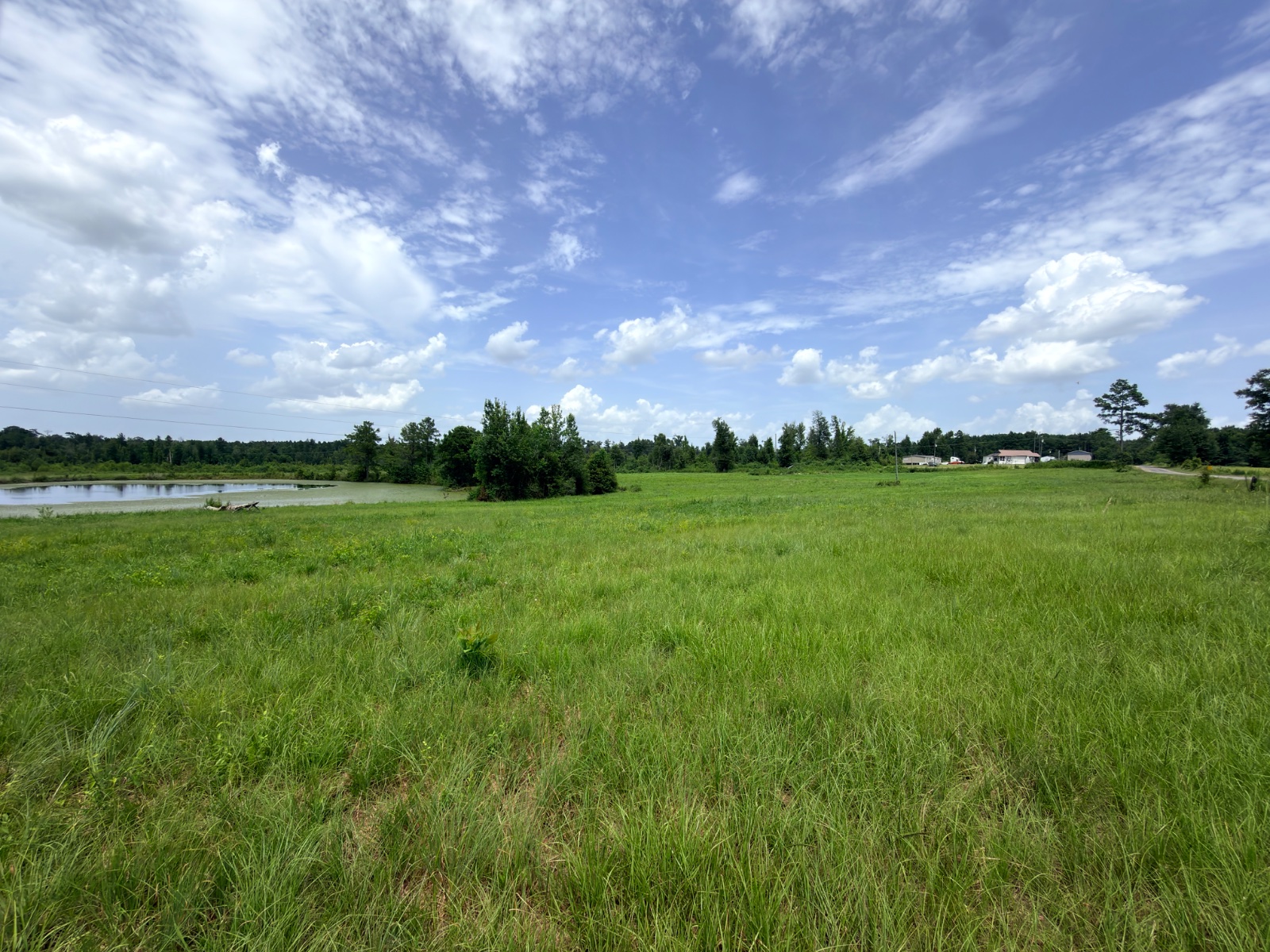 3.06 acres of land on Hambone Rd, Collins, Mississippi - photo 3