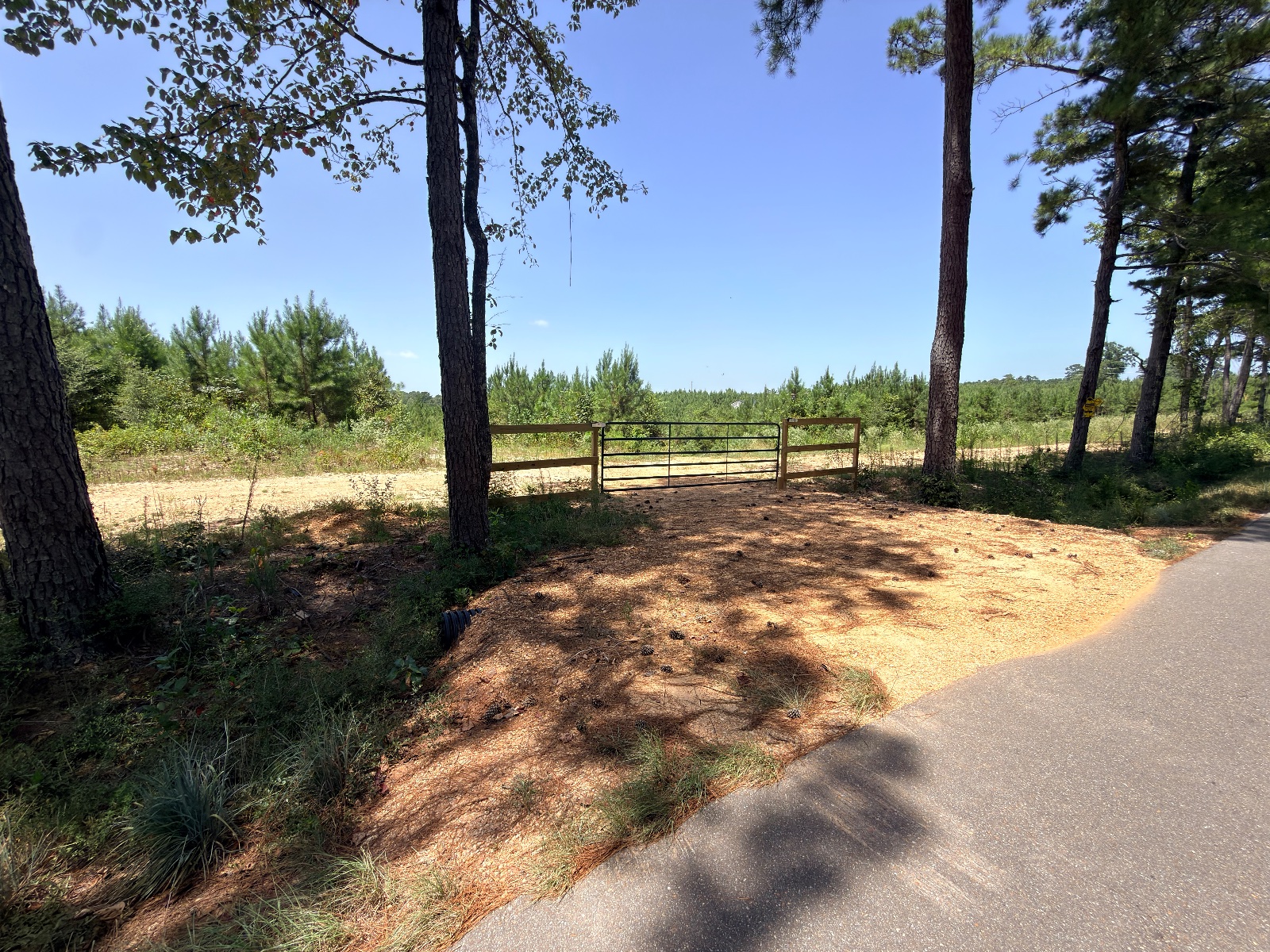 4.51 acres of land on Hutson Morris Rd, Columbia, Mississippi - photo 4