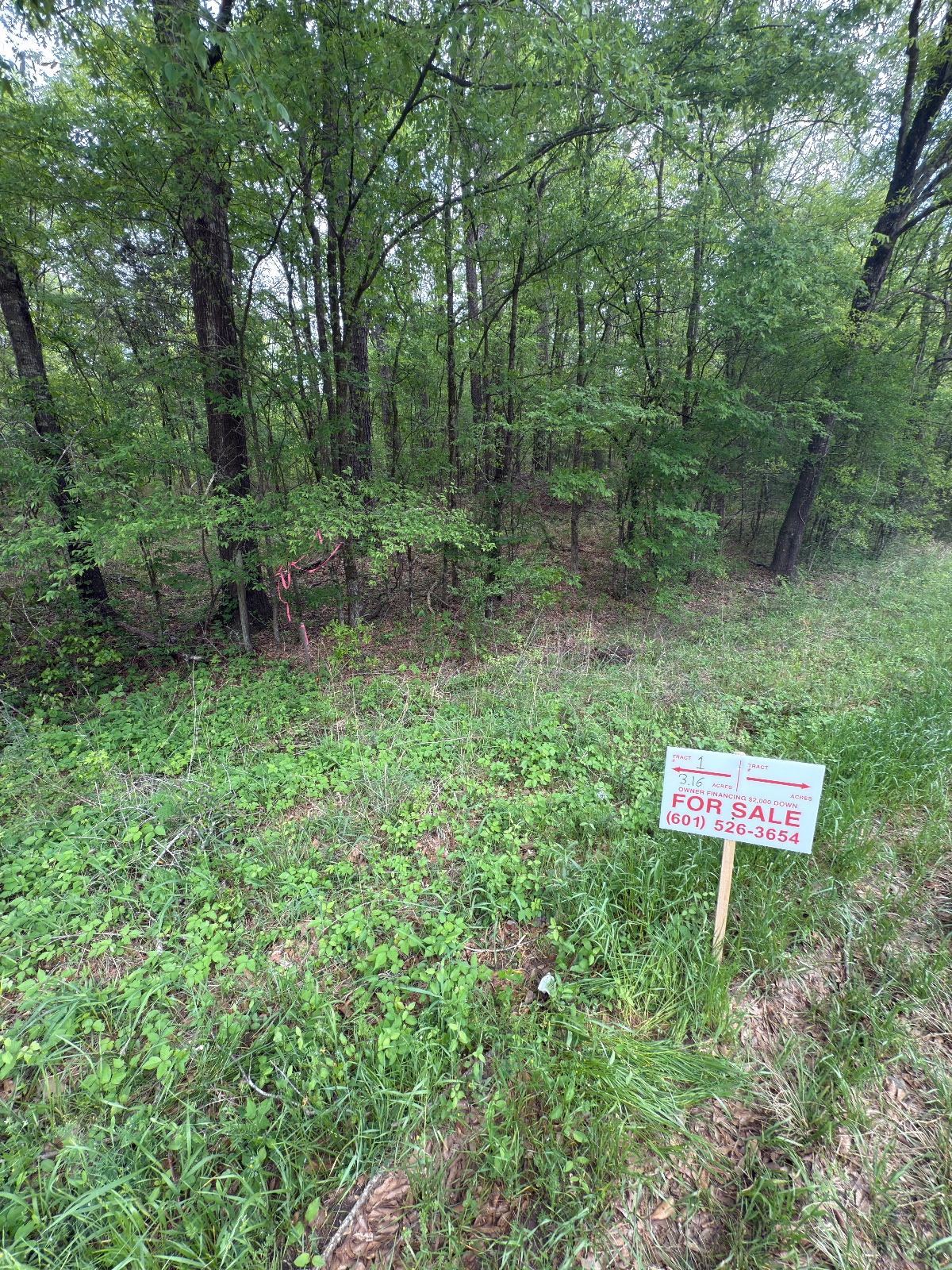 3.54 acres of land on N Chapel Hill Rd, Bolton, Mississippi - photo 3