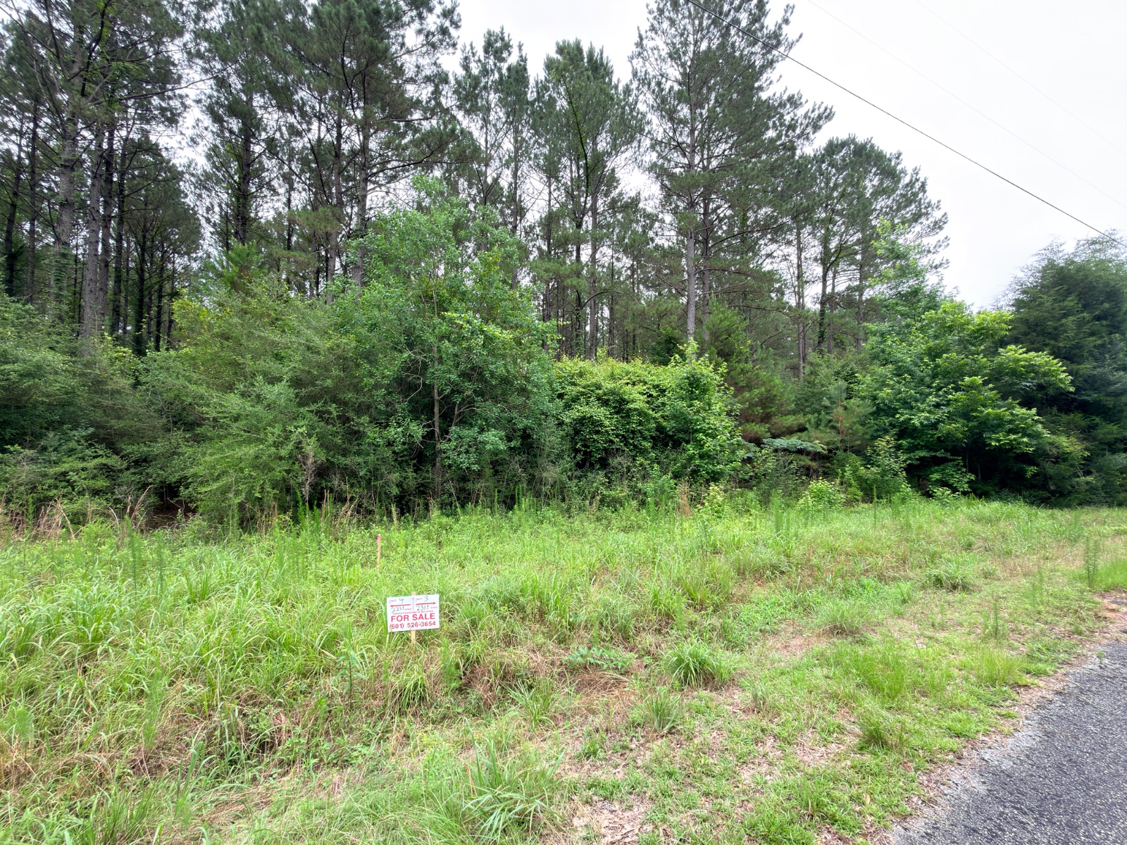 2.76 acres of land on Thurman Road, Prentiss, Mississippi - photo 2