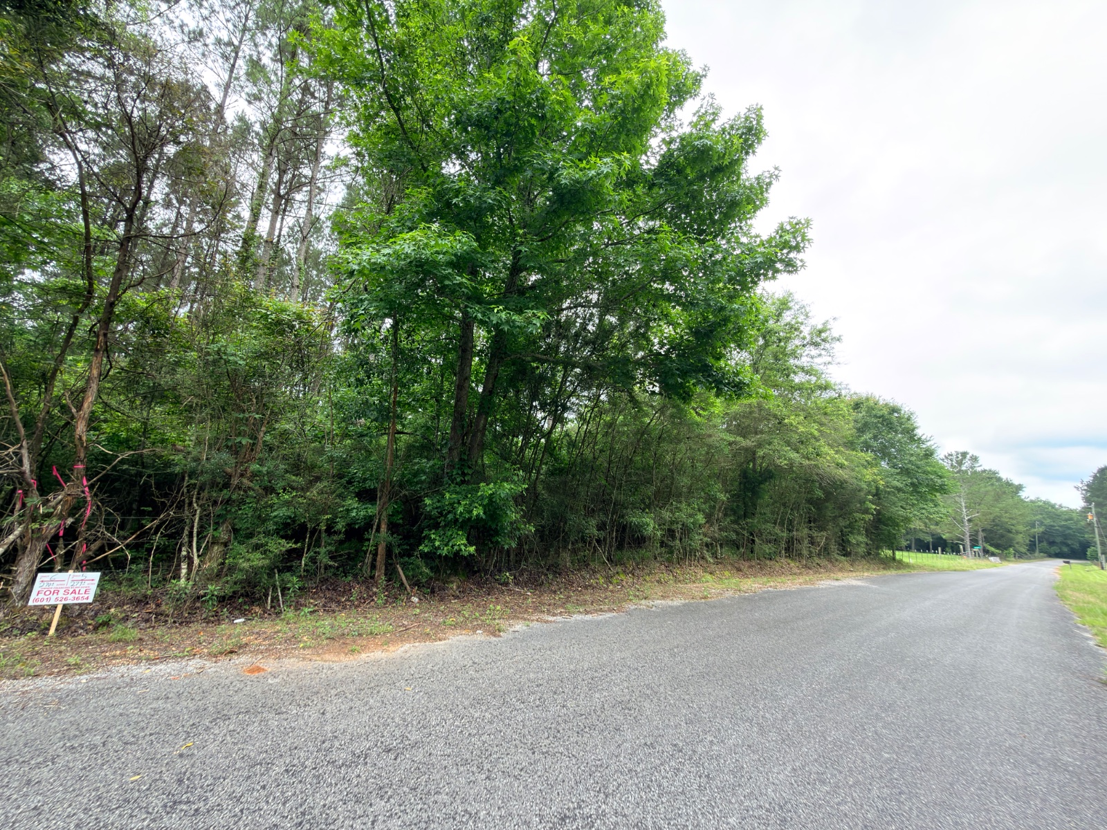2.76 acres of land on Thurman Road, Prentiss, Mississippi - photo 4